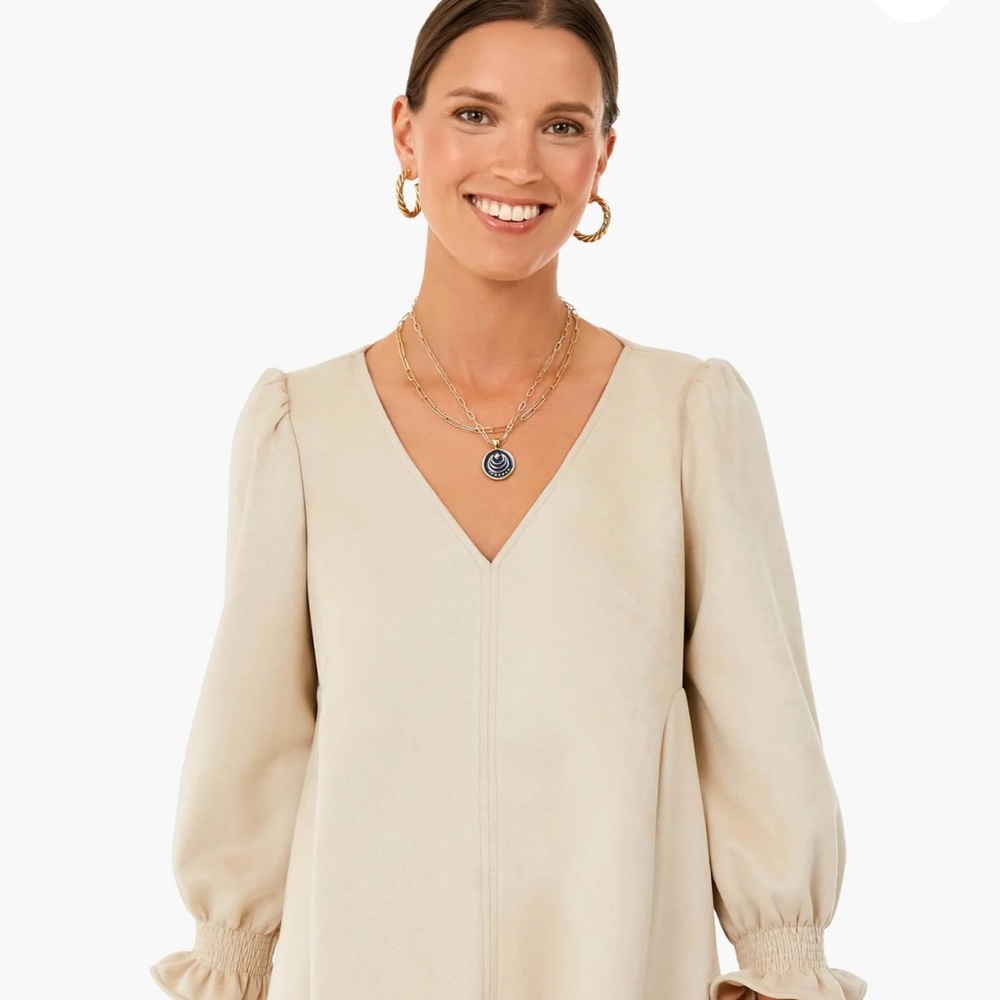 Beautiful suede top with v neck. Never worn. This is on the Tuckernuck site now.